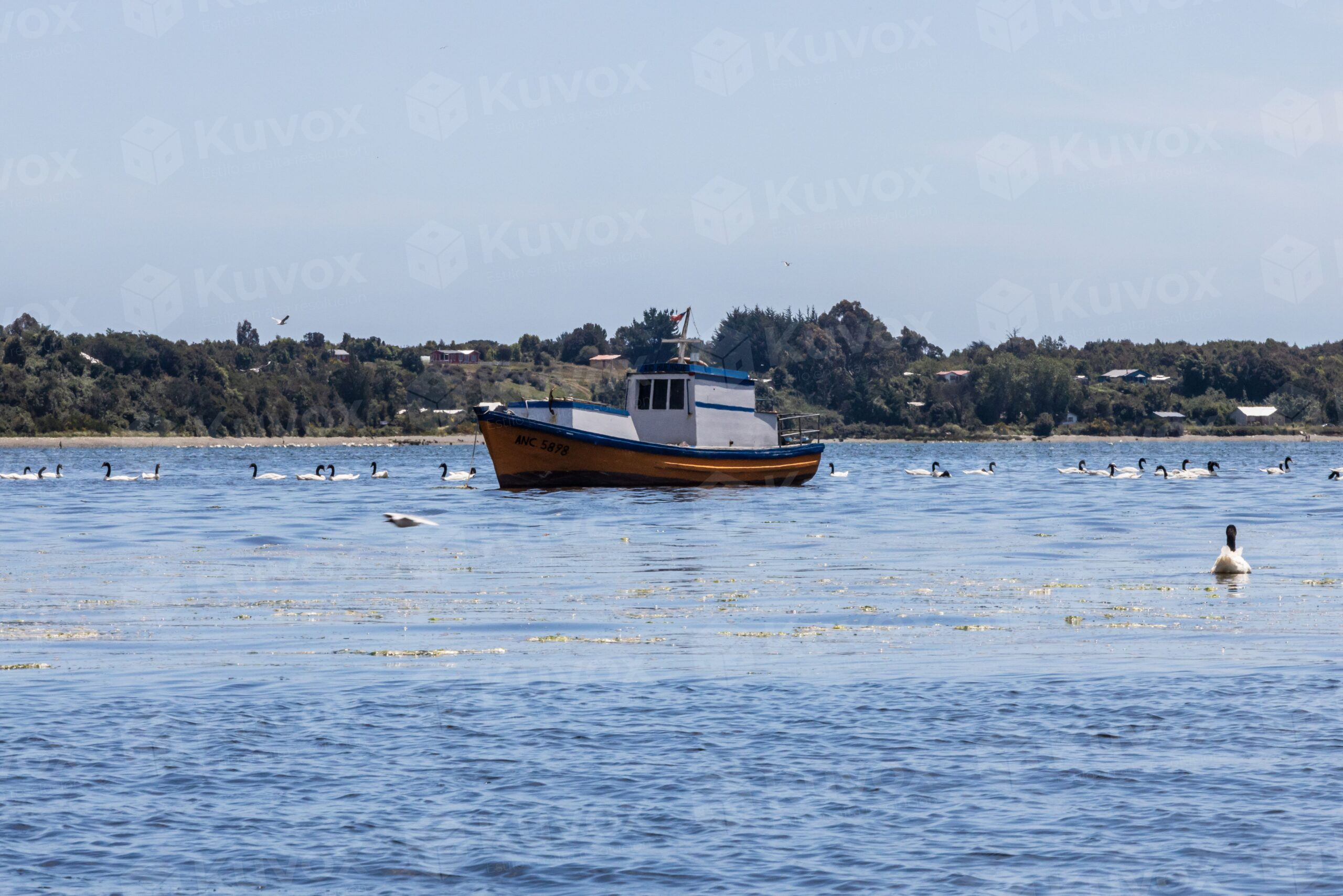 Barco pequeño