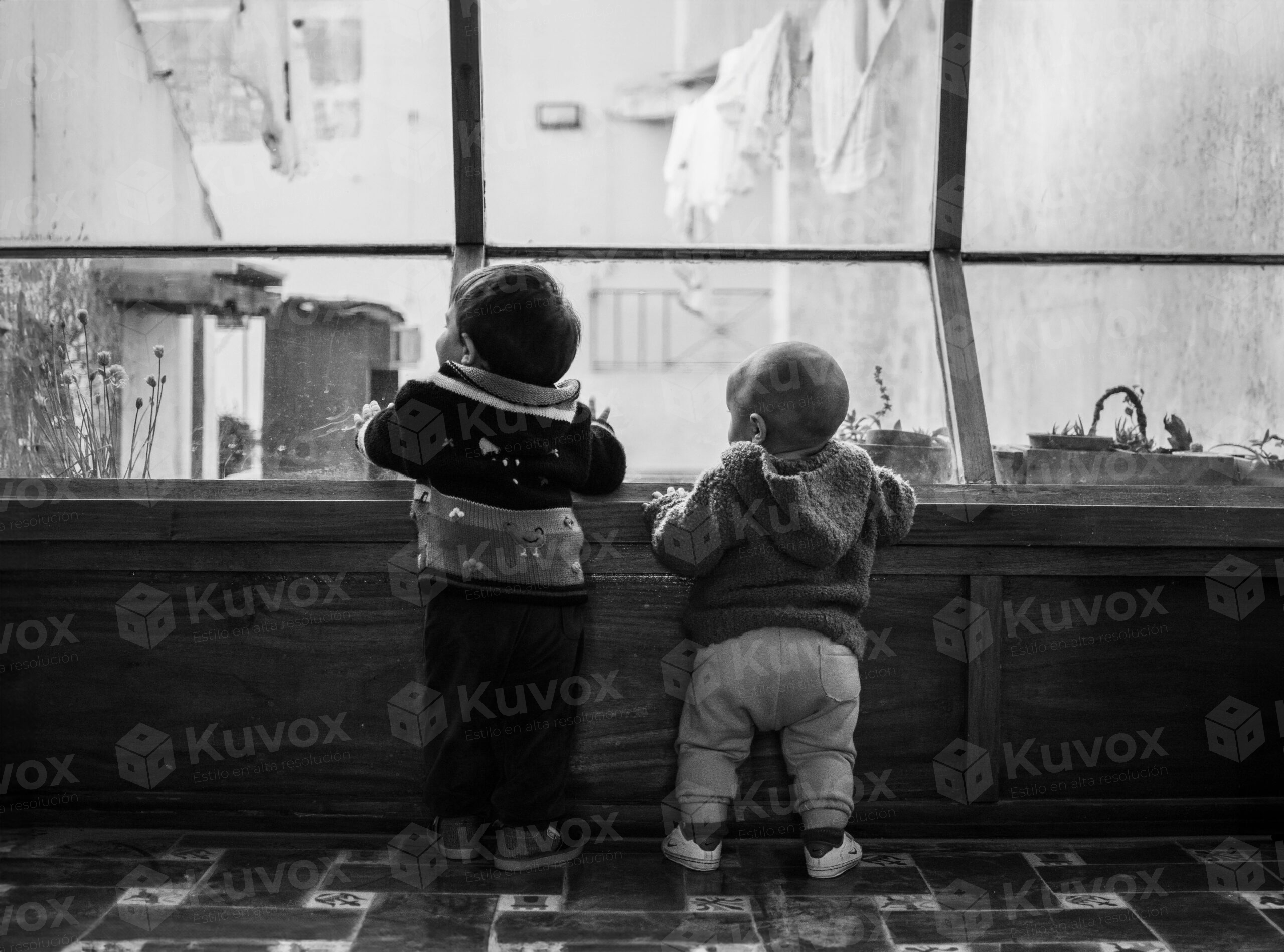 Bebés hermanos