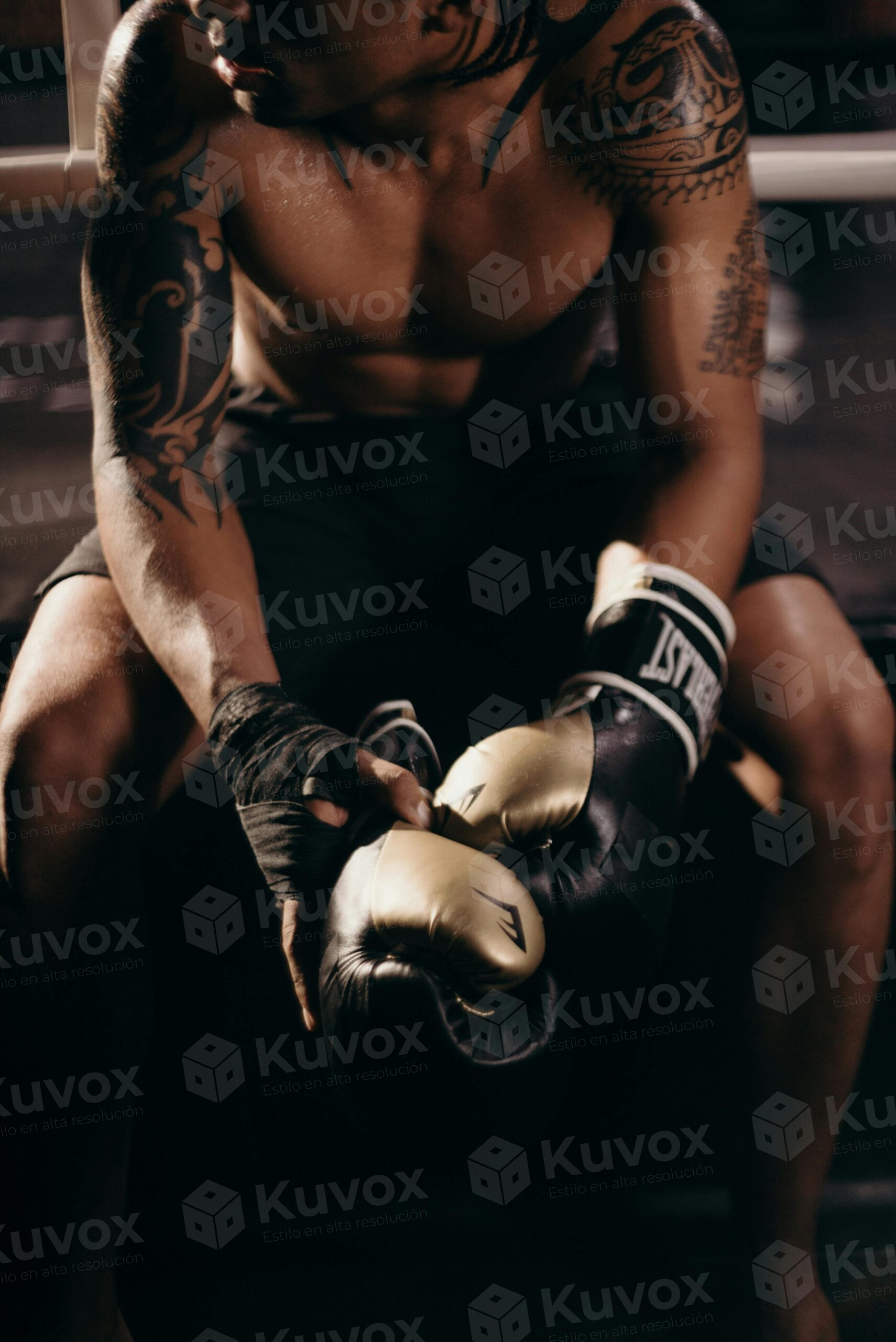 Boxeador con guantes