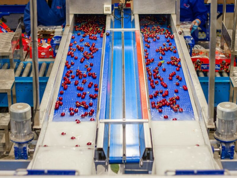 Clasificación de productos