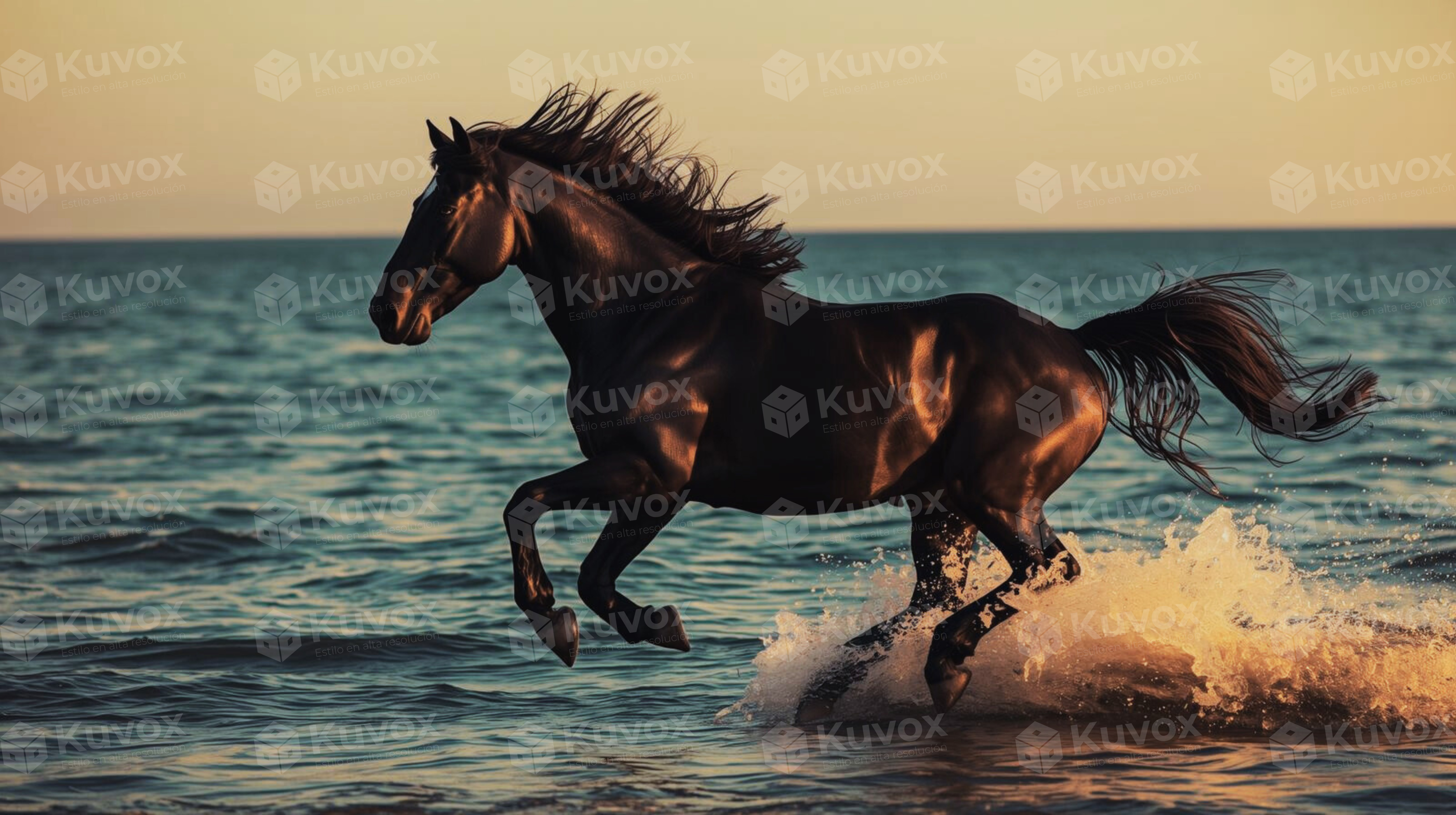 Black horse galloping by the sea